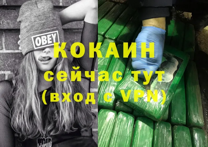 COCAIN FishScale  продажа наркотиков  Железногорск 